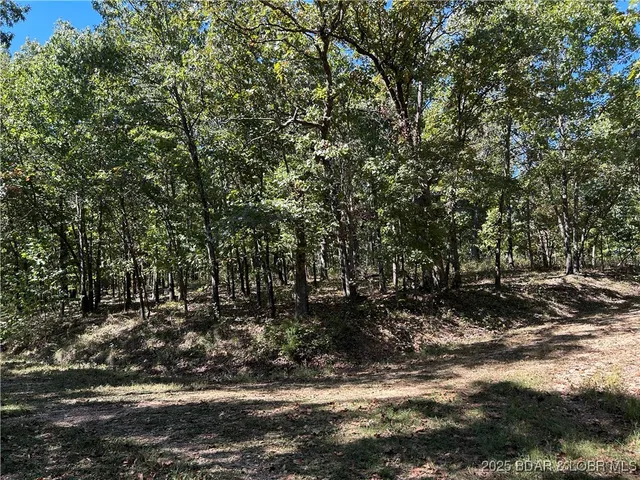 $22,000 | Kip Drive, Edwards, MO 65326