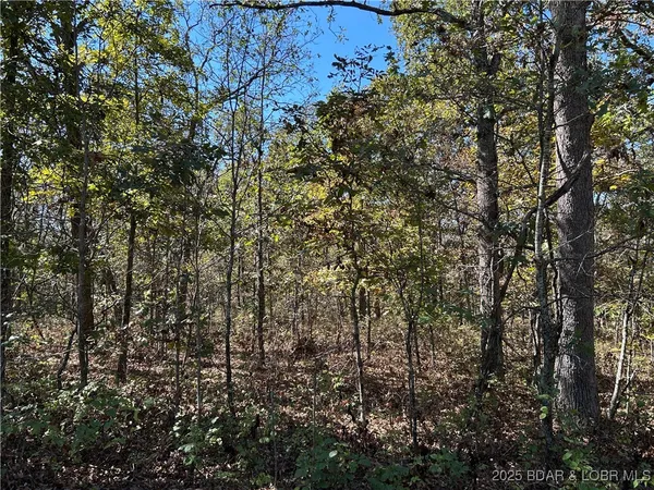 $22,000 | Kip Drive, Edwards, MO 65326