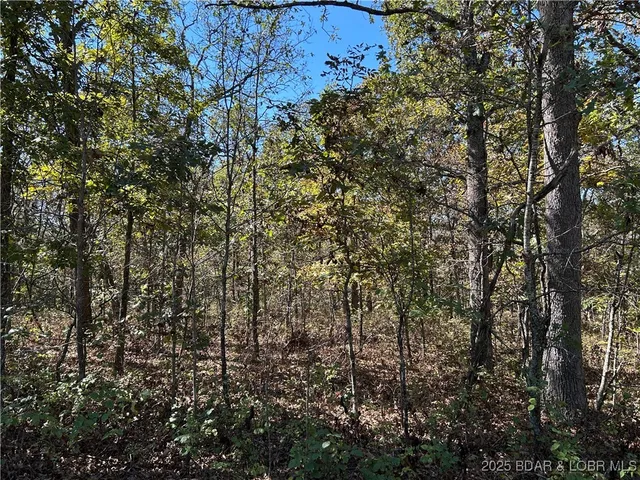 $22,000 | Kip Drive, Edwards, MO 65326