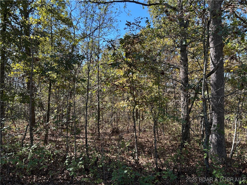 Kip Drive Edwards, MO 65326 - Photo 9 of 23