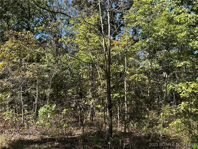 $22,000 | Kip Drive, Edwards, MO 65326