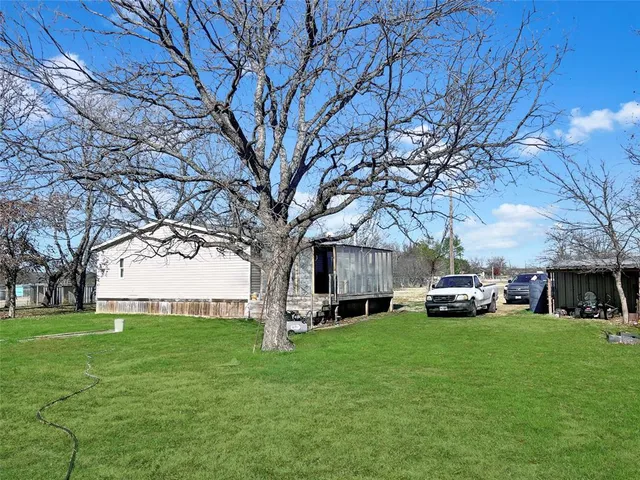a view of a yard with large trees