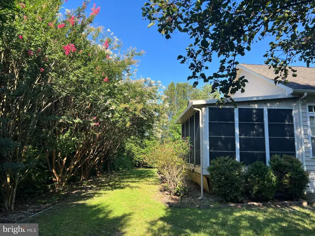 a view of a house with a large tree and a yard