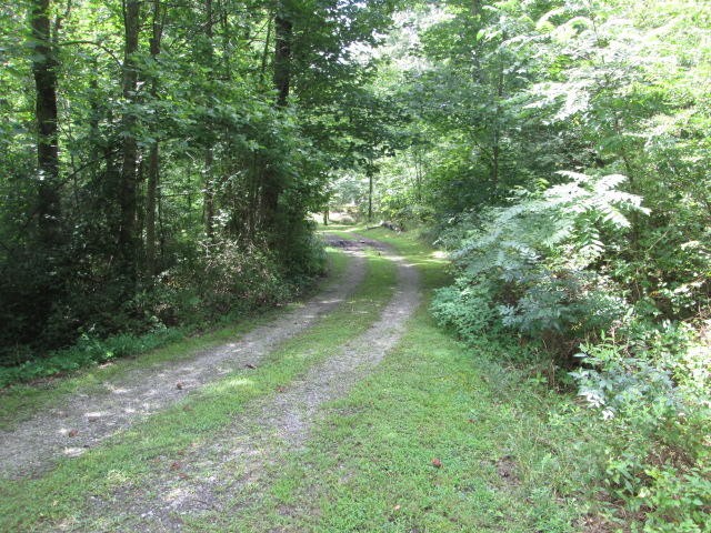 310 North Lowe Road Crossville, TN 38571 - Photo 11 of 19