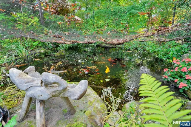 a view of a garden with plants