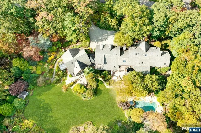 a picture of flowers