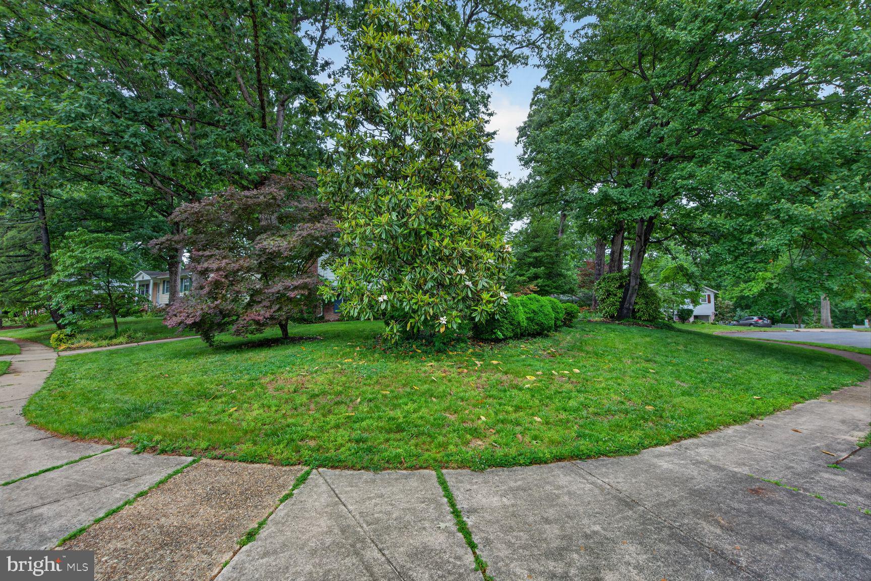 5024 Portsmouth Road Fairfax, VA 22032 - Photo 36 of 38 a view of a garden with a fountain