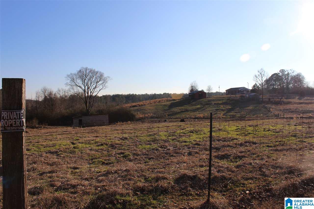 3601 Brookside Road Brilliant, AL 35548 - Photo 26 of 33