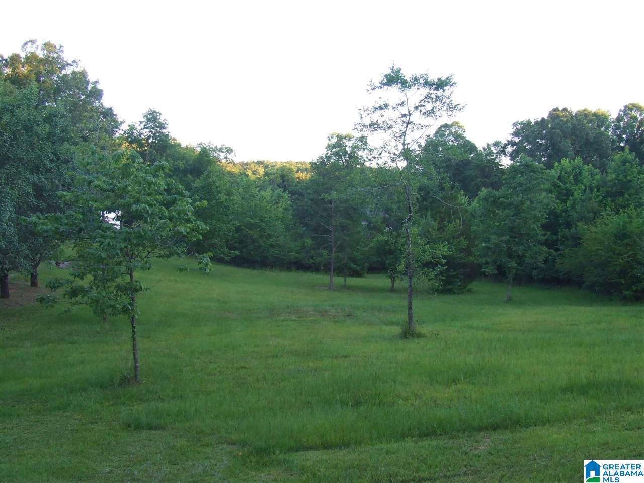 7970 Blackie Curren Road, Unit LOT 1 Bessemer, AL 35022 - Photo 1 of 3