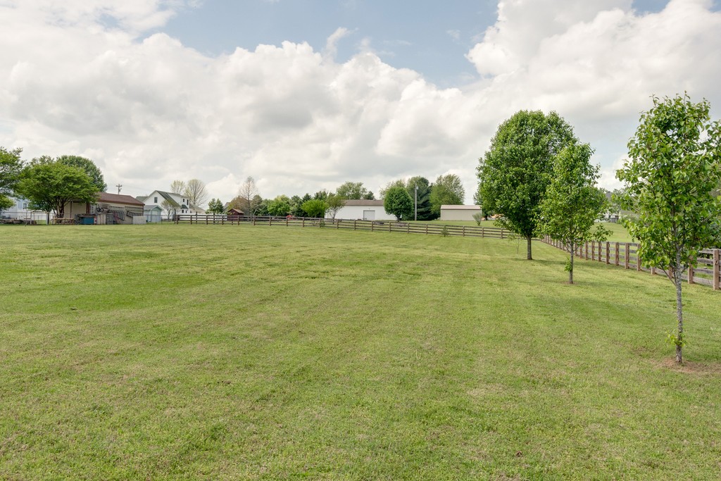 3501 Greens Mill Road Spring Hill, TN 37174 - Photo 15 of 16 a view of field with trees in the background