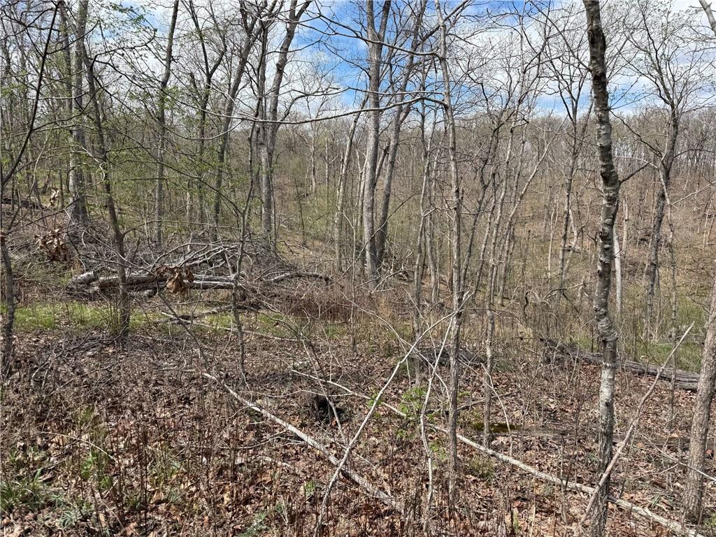 991 Southeast 976 Road Deepwater, MO 64740 - Photo 57 of 79