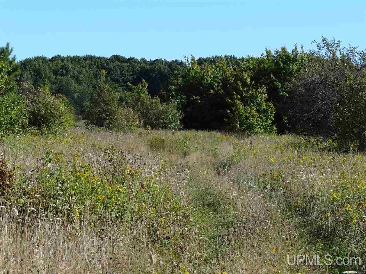 Tbd Cemetery Road Atlantic Mine, MI 49963 - Photo 25 of 27