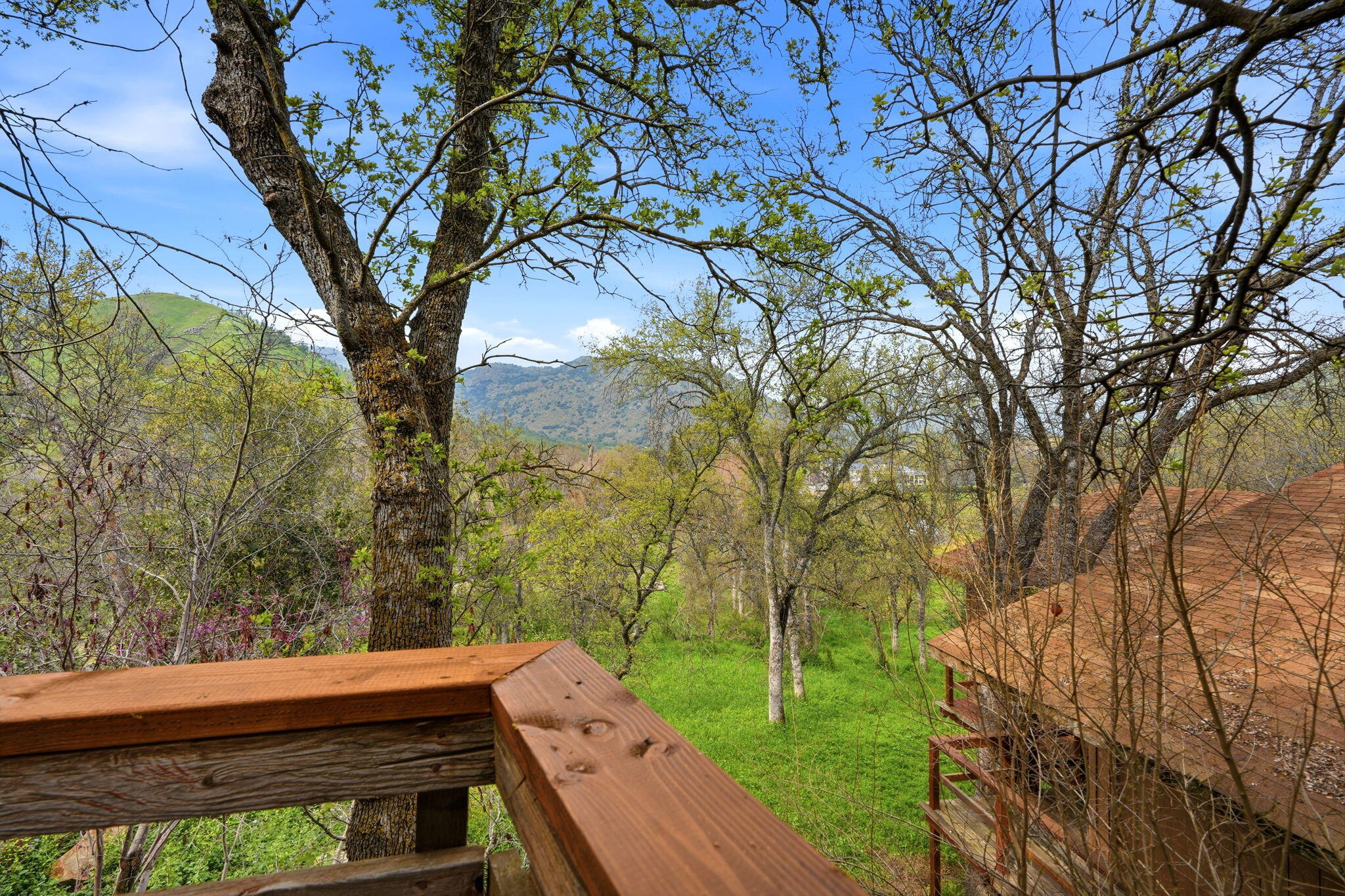 40673 Old Three Rivers Road, Unit 3 Three Rivers, CA 93271 - Photo 17 of 56 17-40673_Old_Three_Rivers_Rd_-_Three_Riv