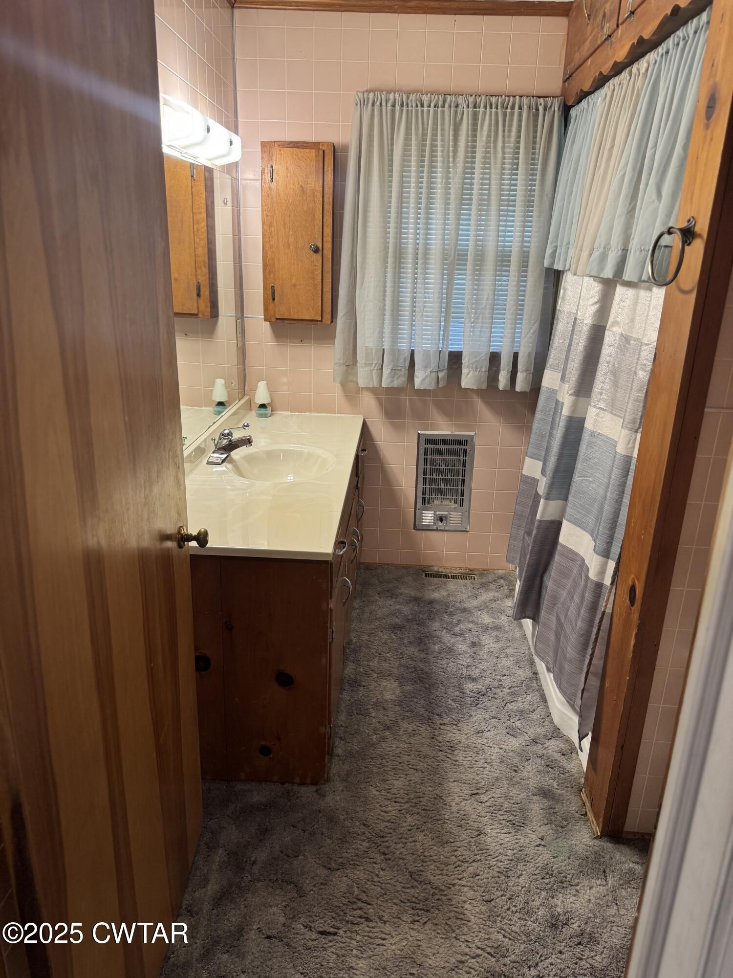 209 Hillside Street Kenton, TN 38233 - Photo 36 of 43 a bathroom with a sink and a mirror