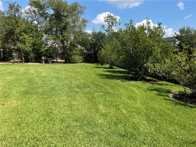 a view of a green field with trees