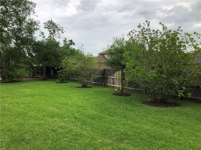 a backyard of a house with lots of green space