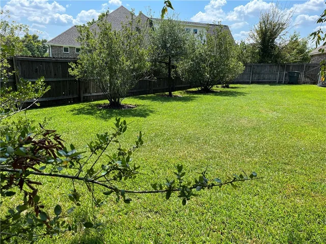 a view of a park with large trees
