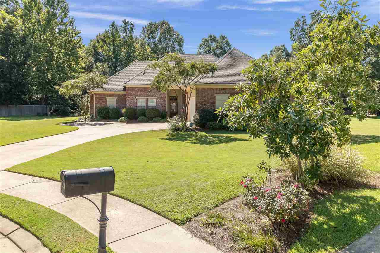 108 Mulberry Way Madison, MS 39110 - Photo 8 of 40 Photo 8