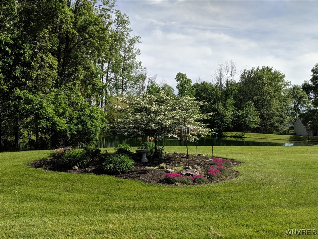 4313 South Newstead Road Newstead, NY 14001 - Photo 20 of 26