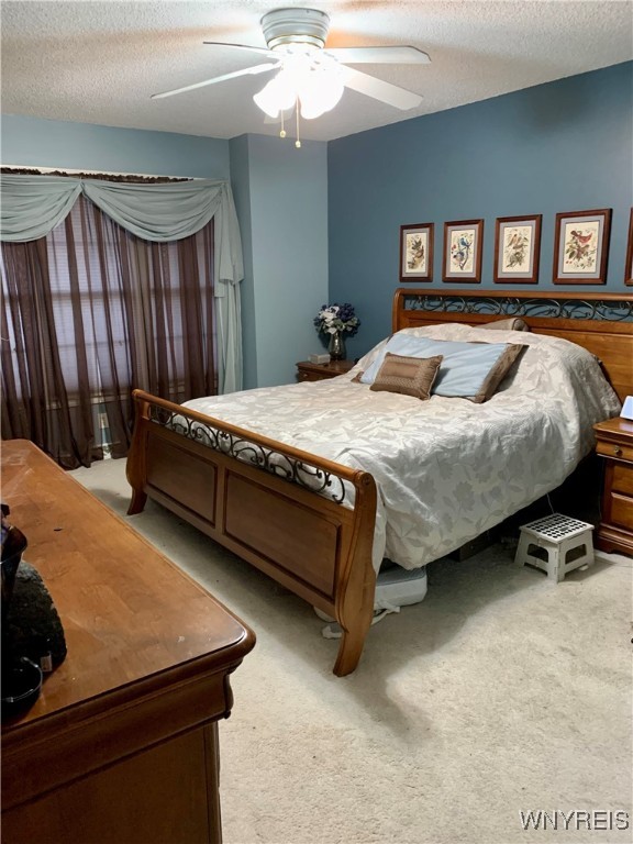 4313 South Newstead Road Newstead, NY 14001 - Photo 6 of 26