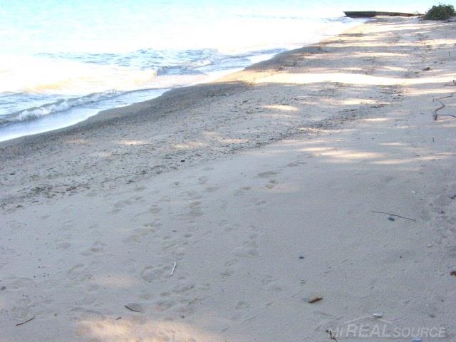 6727 Lakeshore Road Lexington, MI 48450 - Photo 66 of 91 Sandy Beach