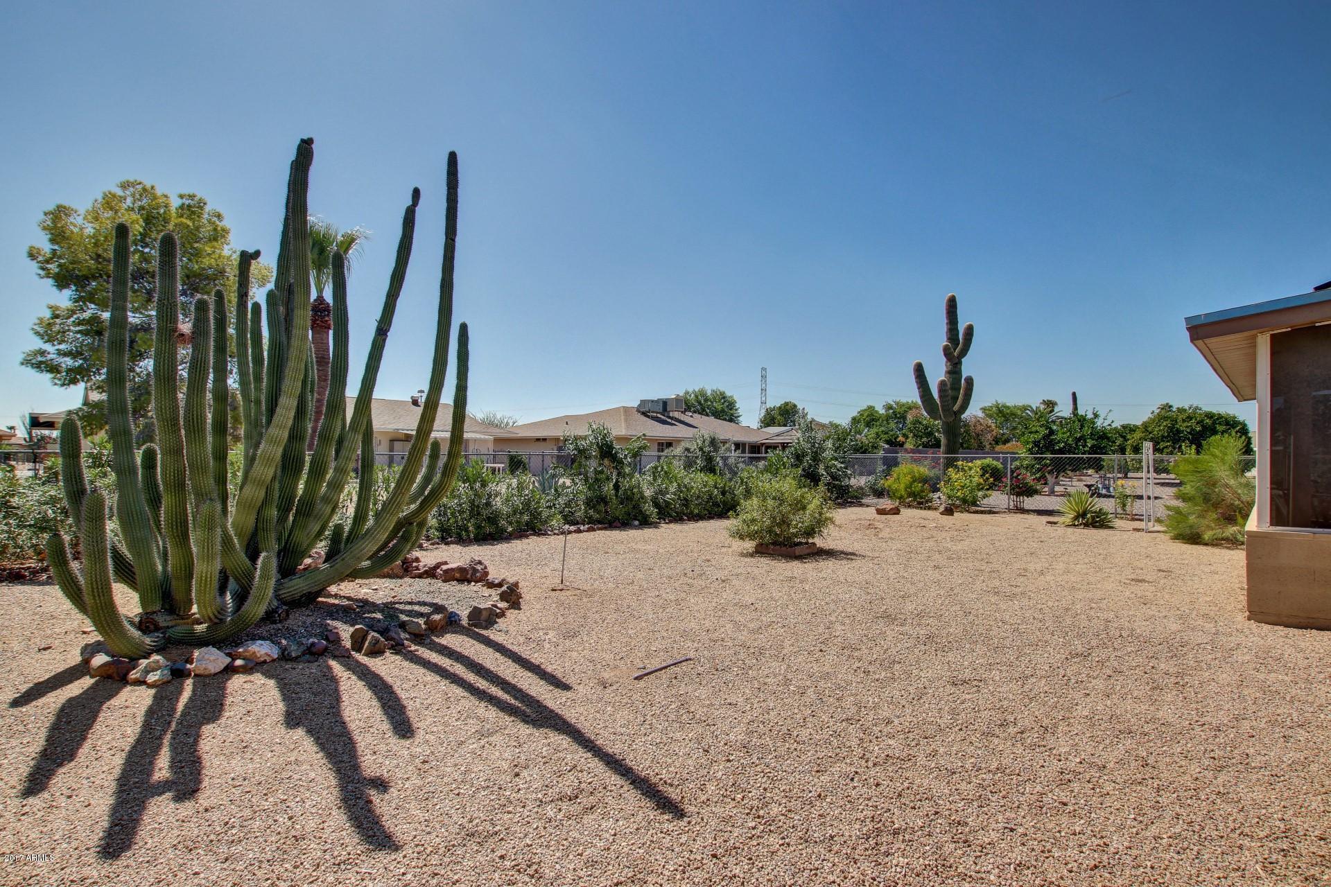 11081 West Frontier Drive Sun City, AZ 85351 - Photo 10 of 24 Private Fenced yard