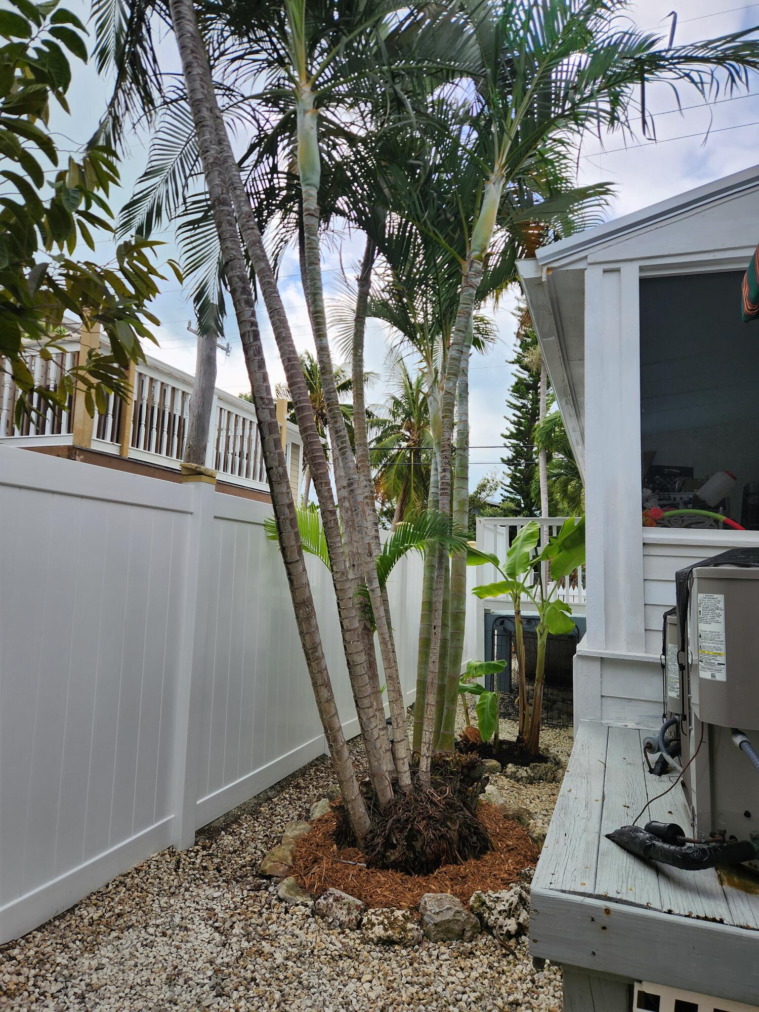 331 Ave F Key West, FL 33040 - Photo 12 of 18 East Side side yard and path
