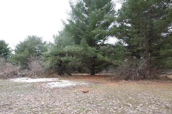 $39,000 | 15-xx 121st Street, Balsam Lake, WI 54810