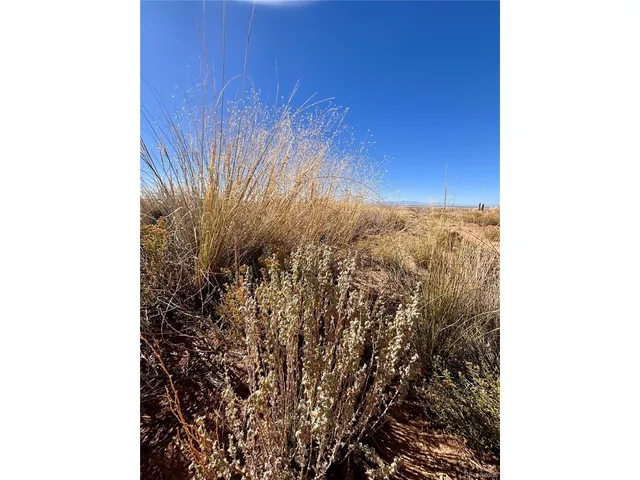 a view of roof window