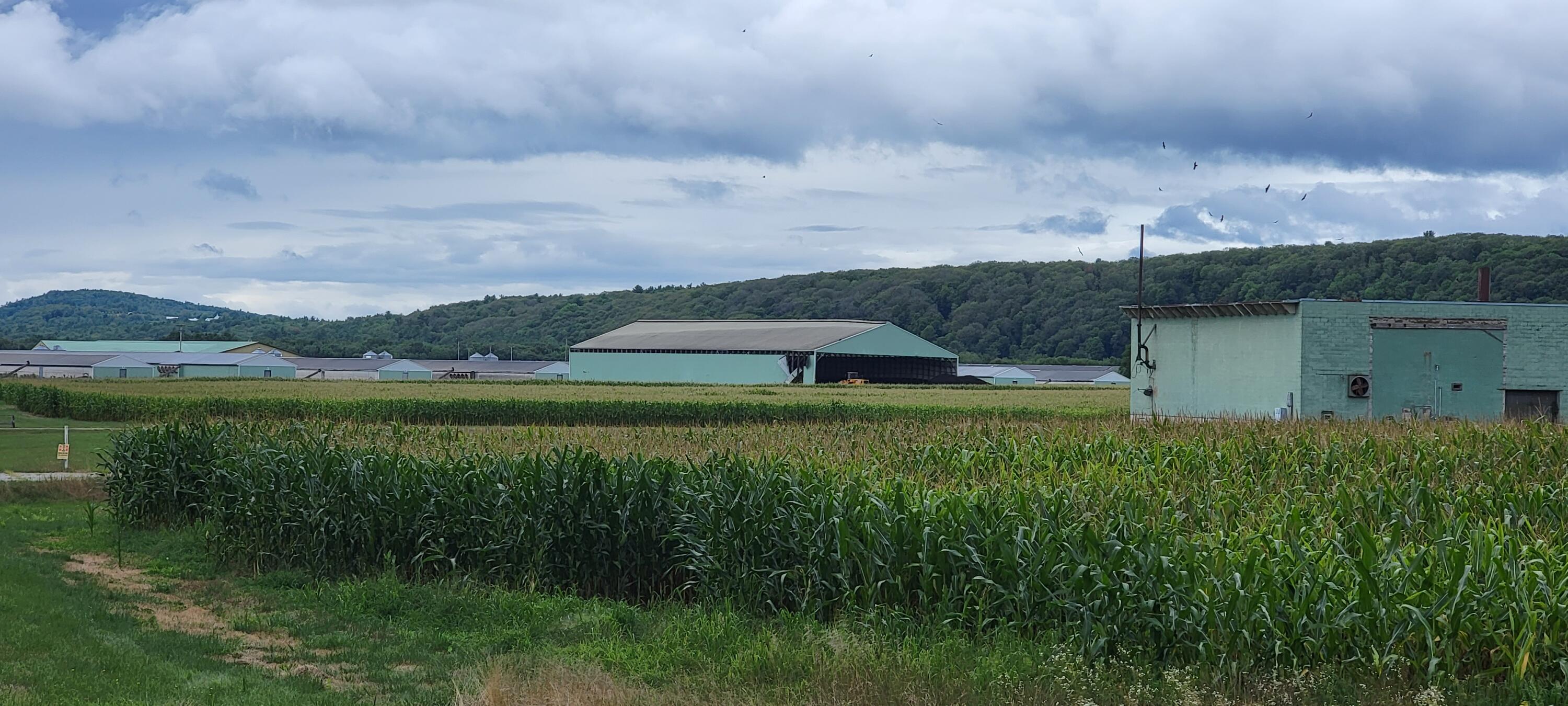 2 Plains Road Turner, ME 04282 - Photo 10 of 15 20220818_115838