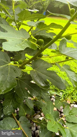 $415,000 | 1069 Chews Landing Road, Laurel Springs, NJ 08021