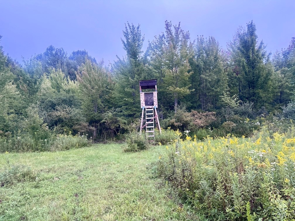 Common Road Angelica, NY 14709 - Photo 2 of 26 Gallery Image 2