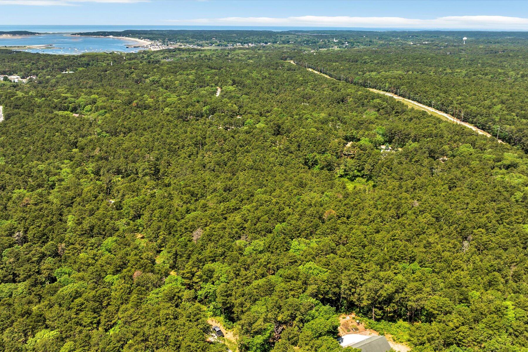 175 Delphi Path Wellfleet, MA 02667 - Photo 11 of 15 a view of a city with lush green forest