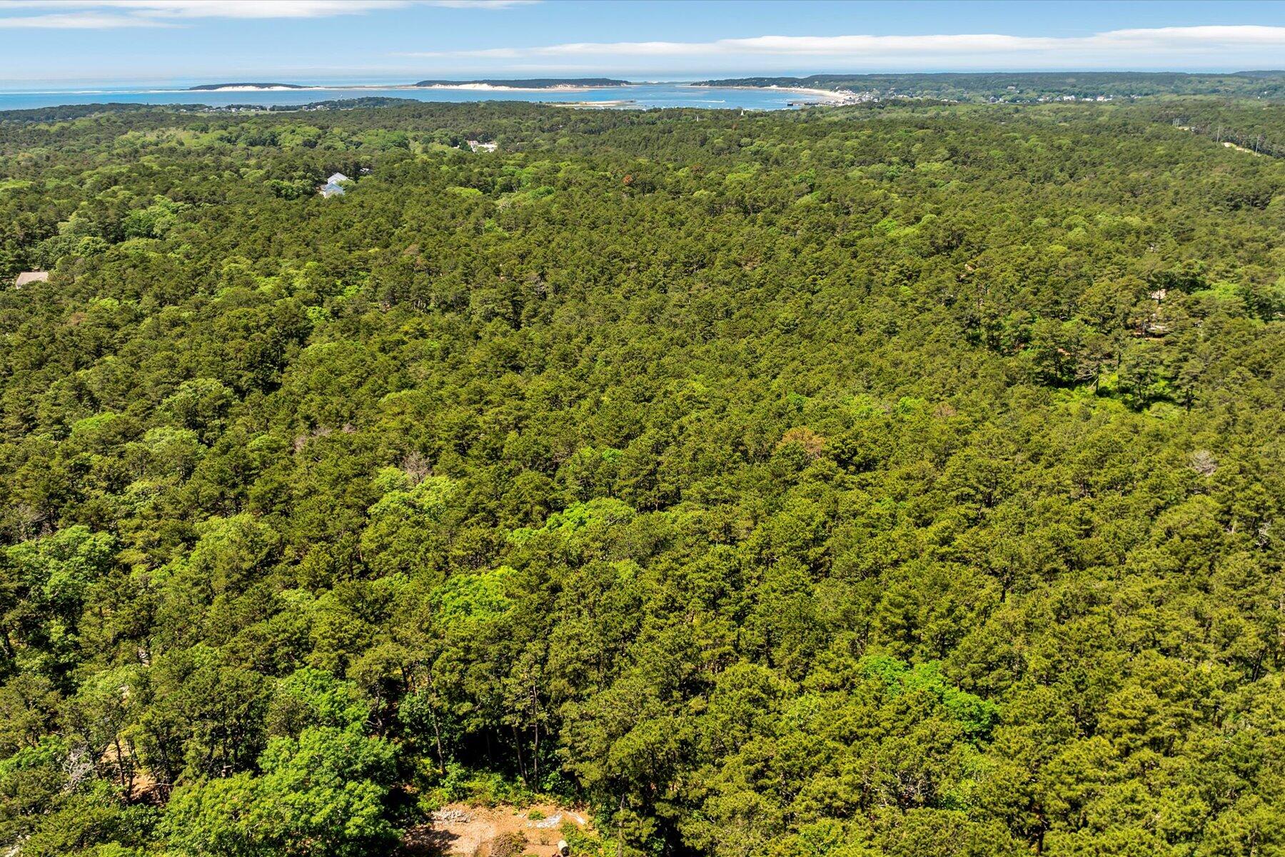 175 Delphi Path Wellfleet, MA 02667 - Photo 13 of 15 a view of a green field with lots of bushes