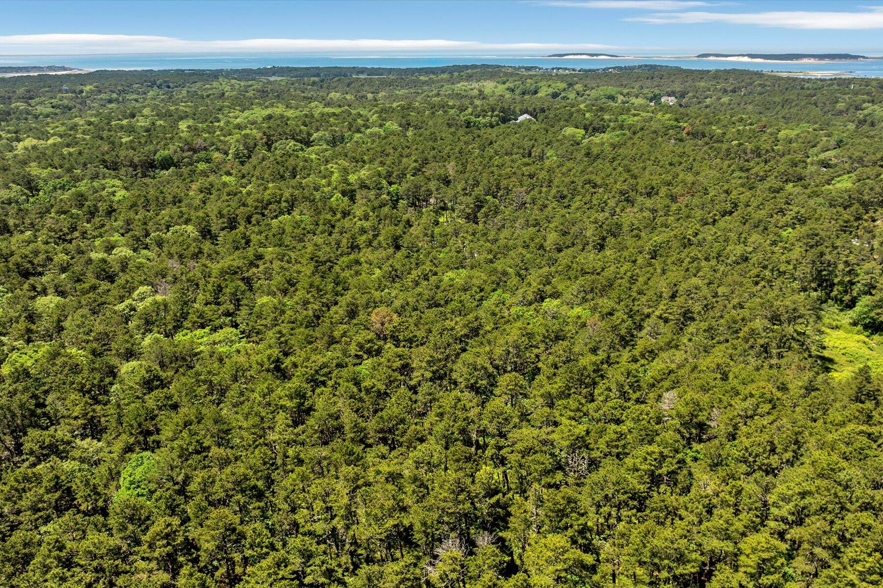 175 Delphi Path Wellfleet, MA 02667 - Photo 14 of 15 a view of a field with an outdoor space