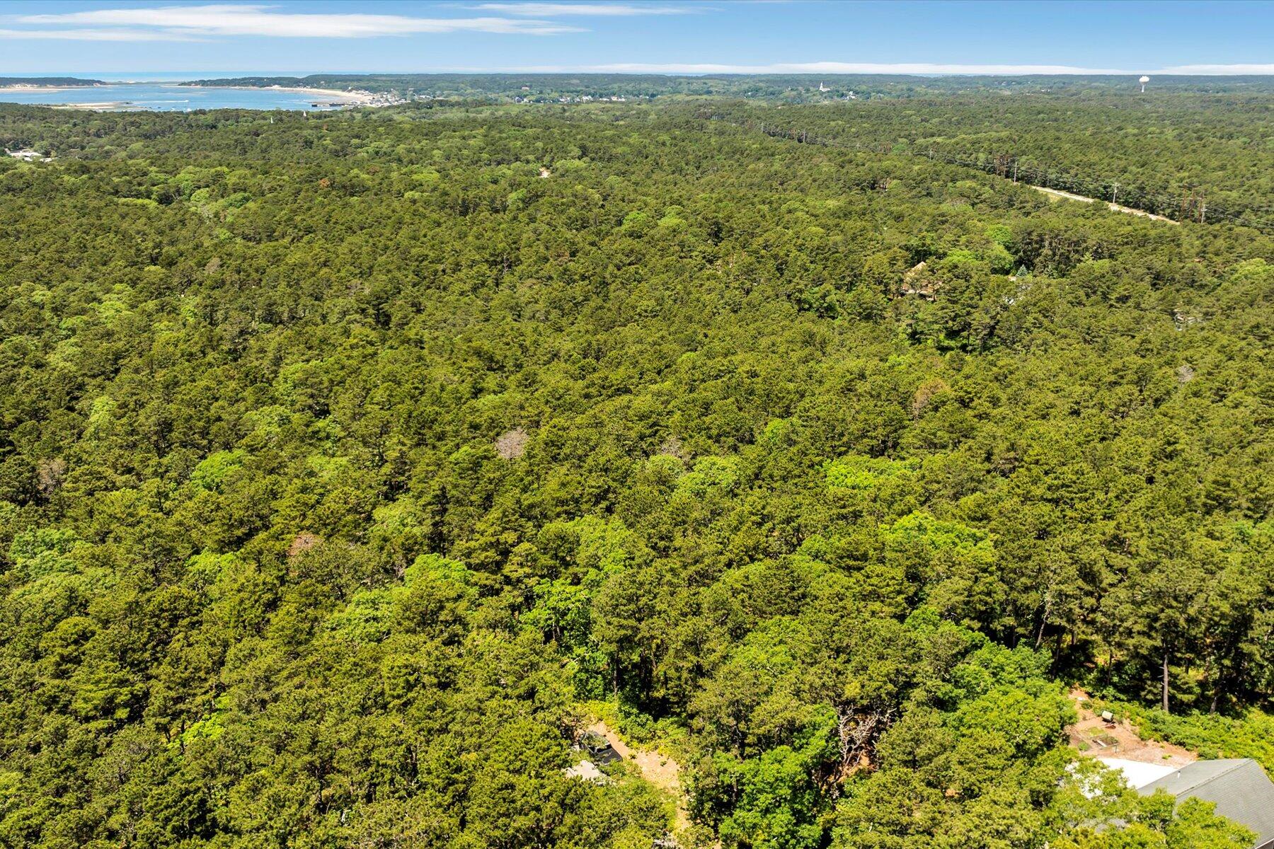 175 Delphi Path Wellfleet, MA 02667 - Photo 15 of 15 a view of a yard with an outdoor space