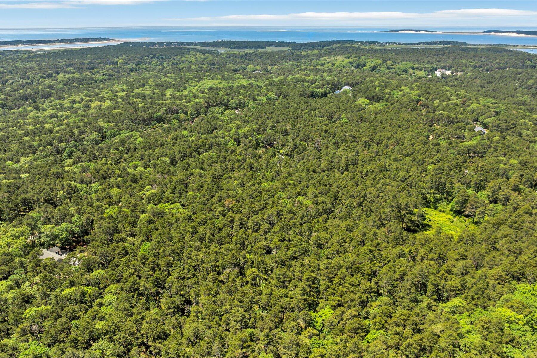 175 Delphi Path Wellfleet, MA 02667 - Photo 4 of 15