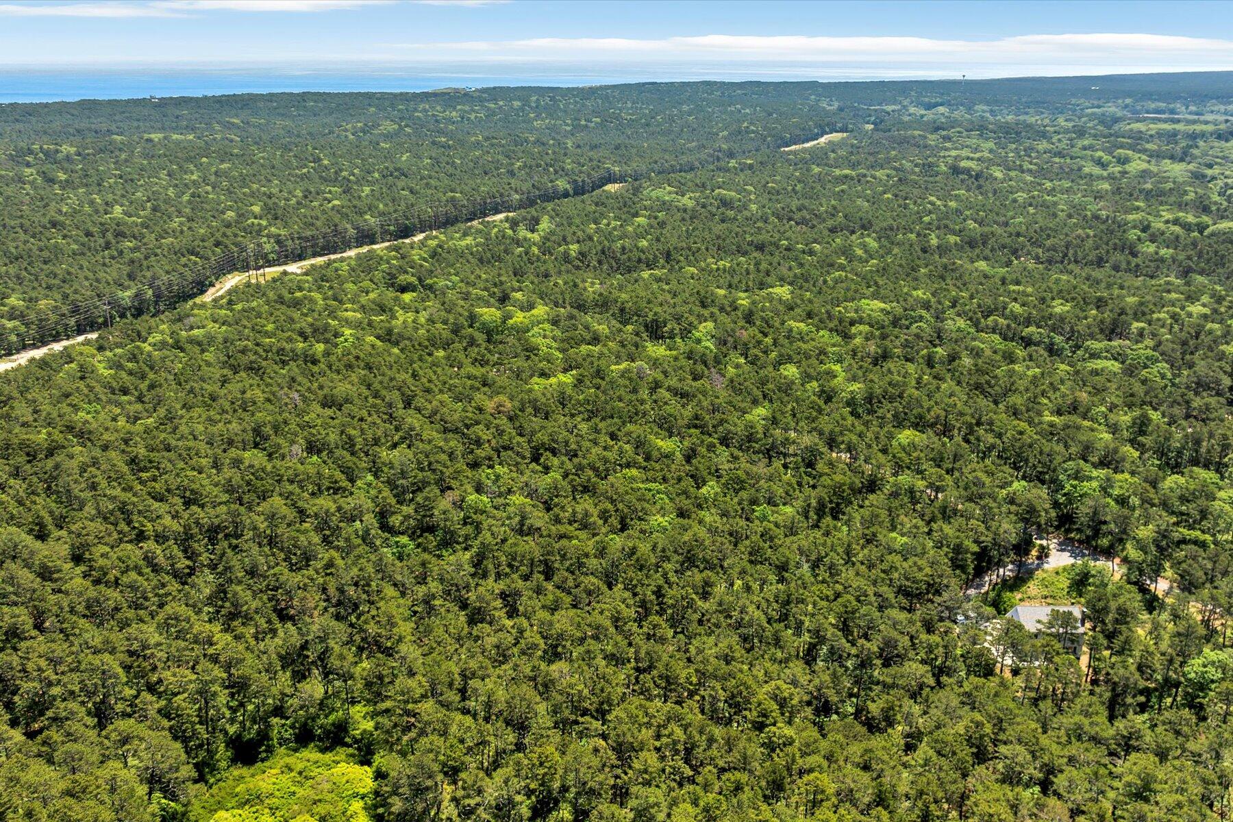 175 Delphi Path Wellfleet, MA 02667 - Photo 6 of 15 a view of a city with lush green forest