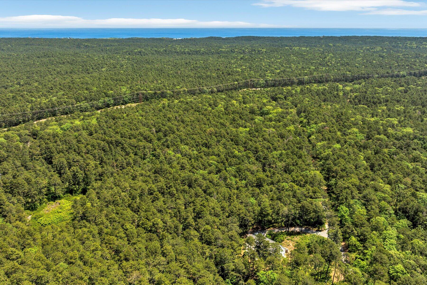 175 Delphi Path Wellfleet, MA 02667 - Photo 7 of 15 a view of yard with ocean view