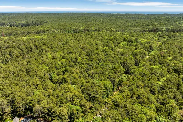 a view of a city with lush green forest