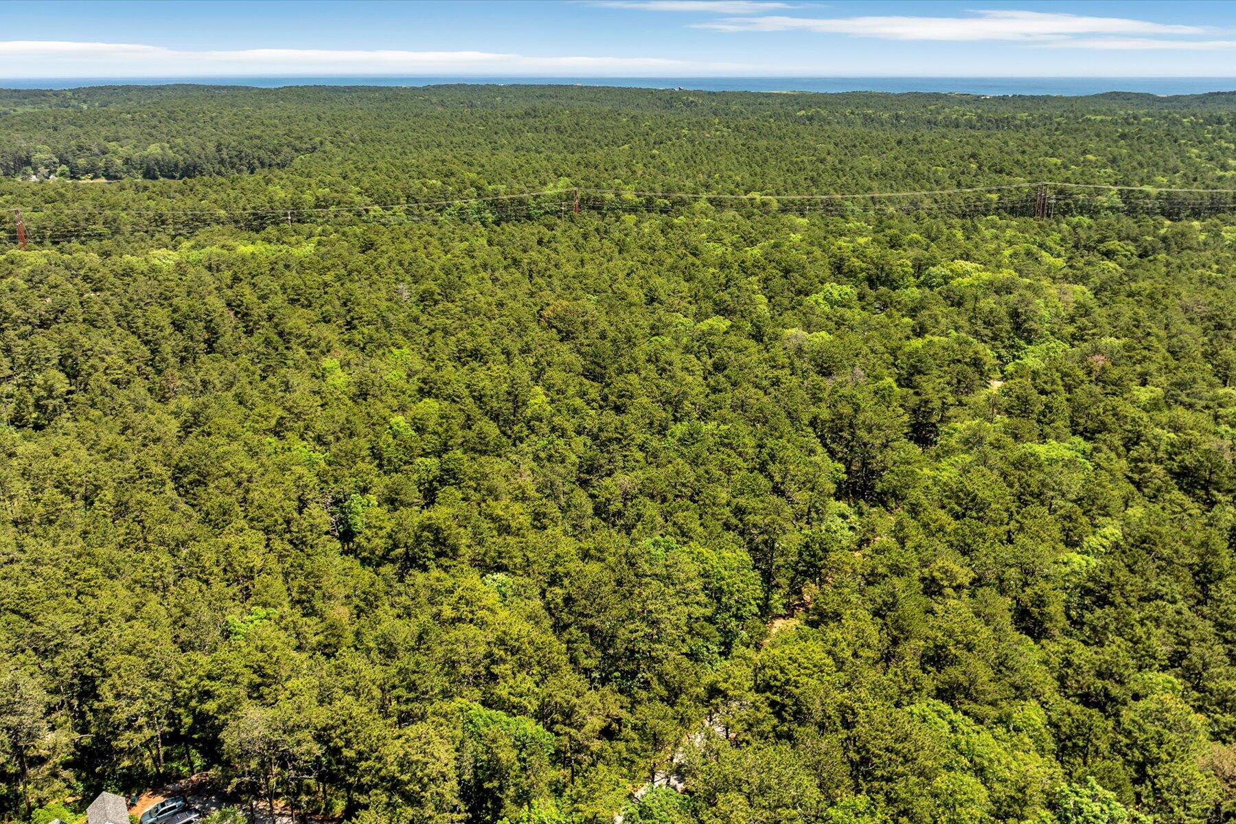 175 Delphi Path Wellfleet, MA 02667 - Photo 9 of 15 a view of a yard with an outdoor space