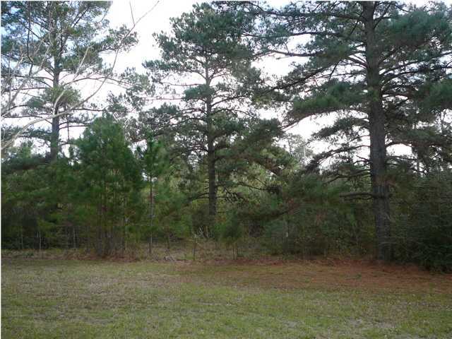 1023 Clement Road Egan, LA 70531 - Photo 12 of 12 Additional Photo