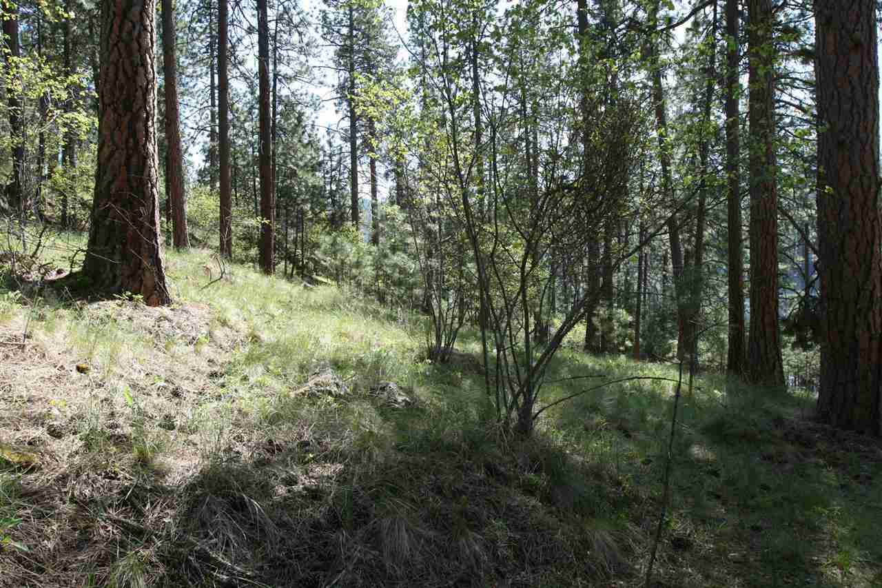 1322 South Lakeside Road, Unit LOT 9 Liberty Lake, WA 99019 - Photo 6 of 10 Gallery Image 6
