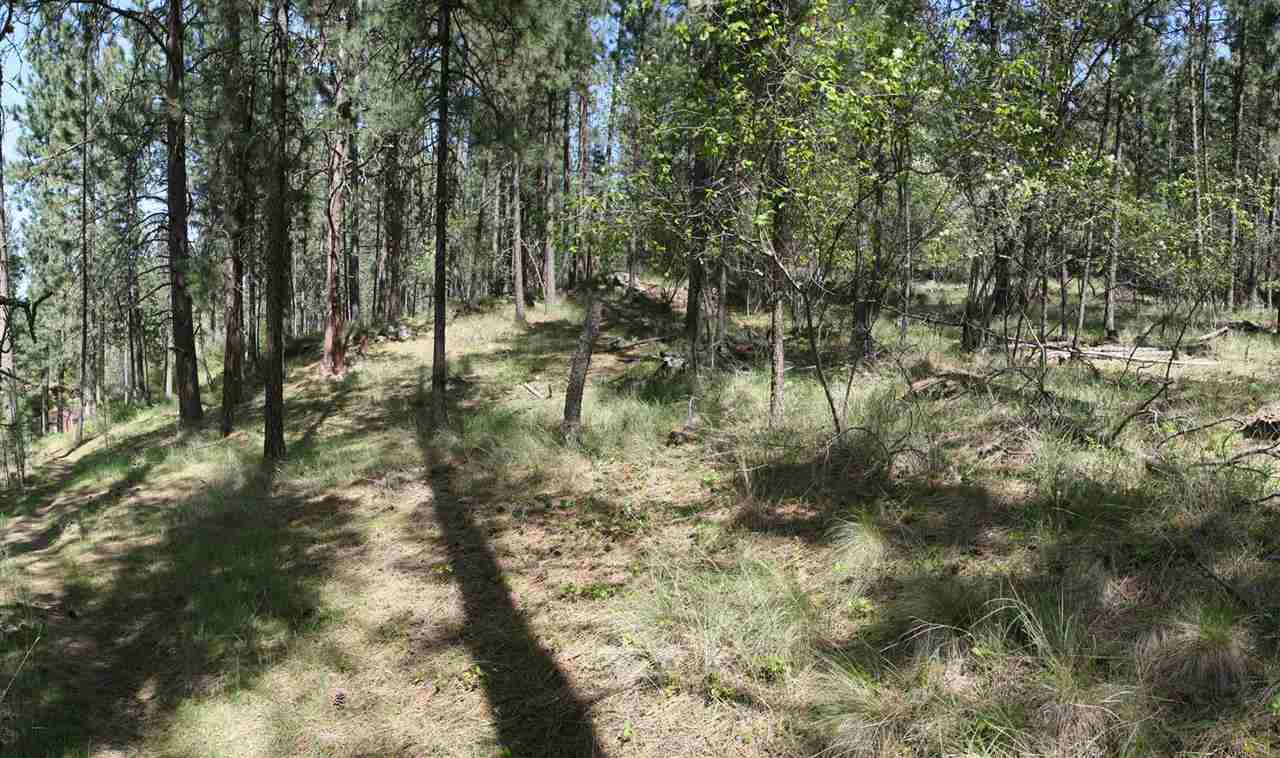 1322 South Lakeside Road, Unit LOT 9 Liberty Lake, WA 99019 - Photo 8 of 10 Gallery Image 8