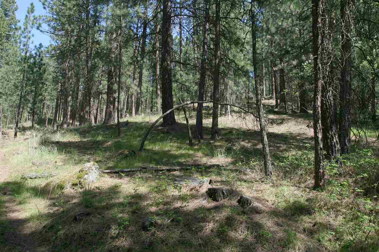 1322 South Lakeside Road, Unit LOT 9 Liberty Lake, WA 99019 - Photo 9 of 10 Gallery Image 9