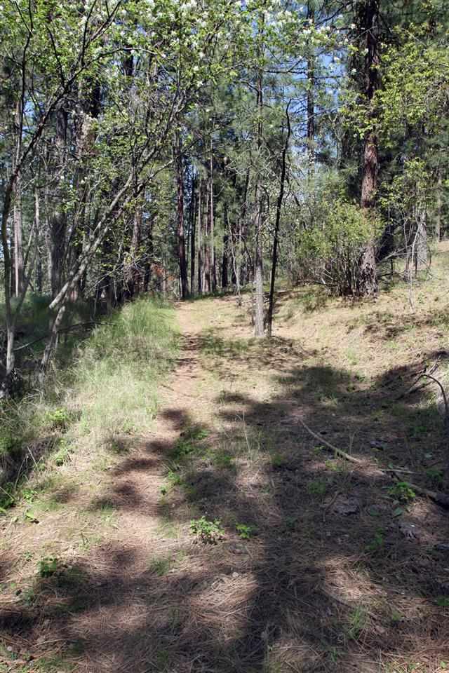 1322 South Lakeside Road, Unit LOT 9 Liberty Lake, WA 99019 - Photo 10 of 10 Gallery Image 10