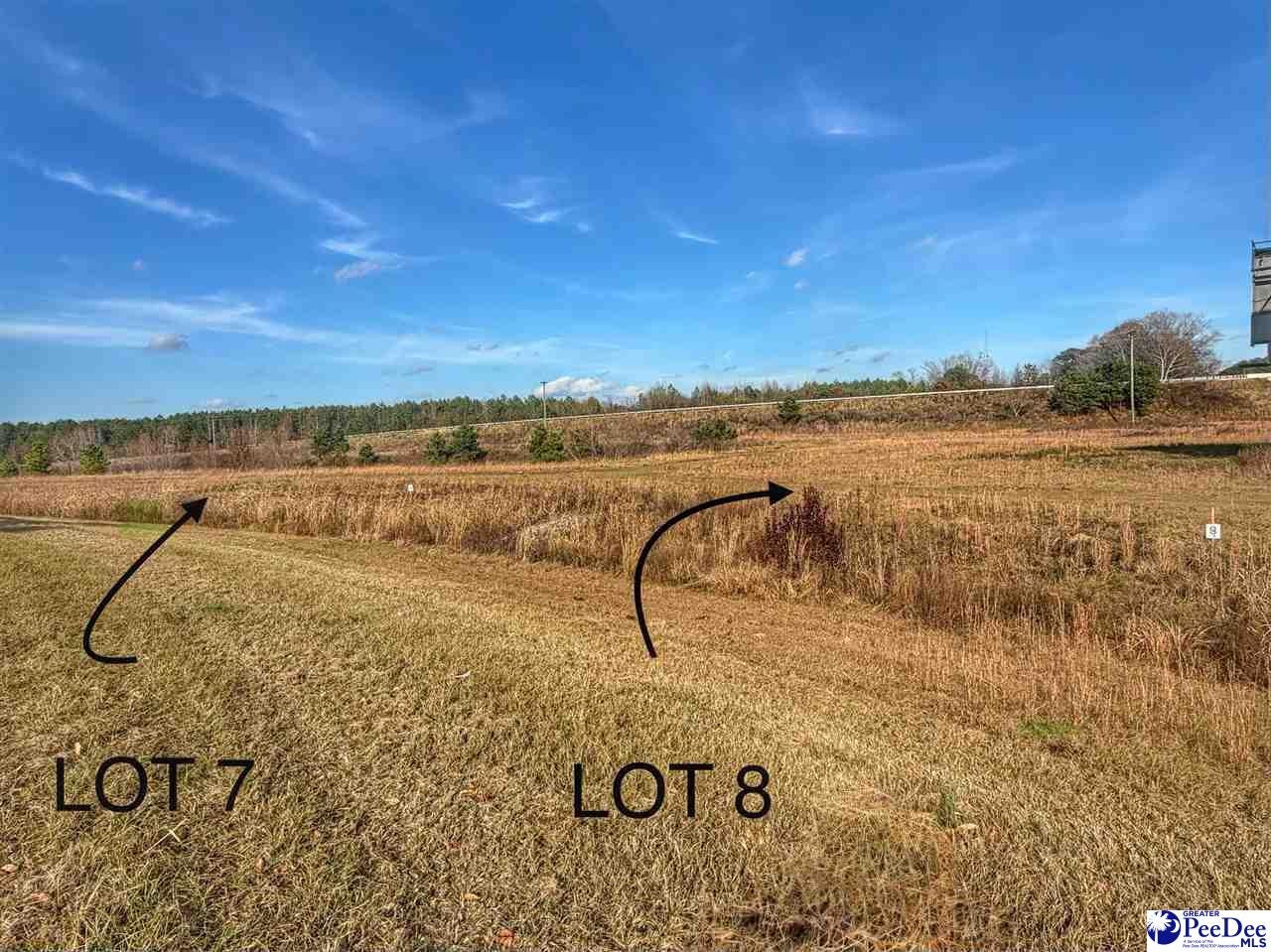 Lot 7 Mallory Beach Road Latta, SC 29565 - Photo 1 of 2 Gallery Image 1