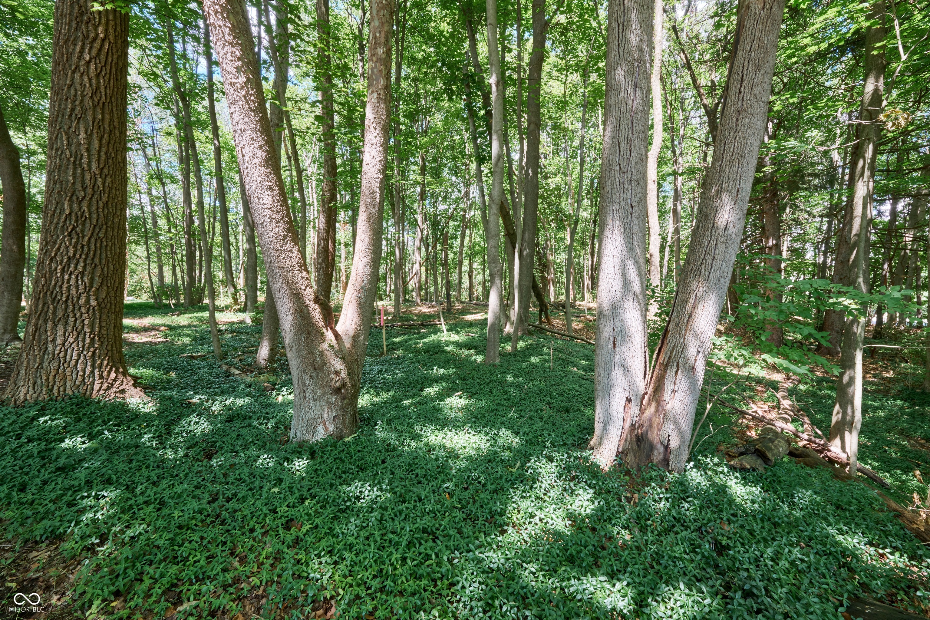 7111 North Meridian Street Indianapolis, IN 46260 - Photo 2 of 14