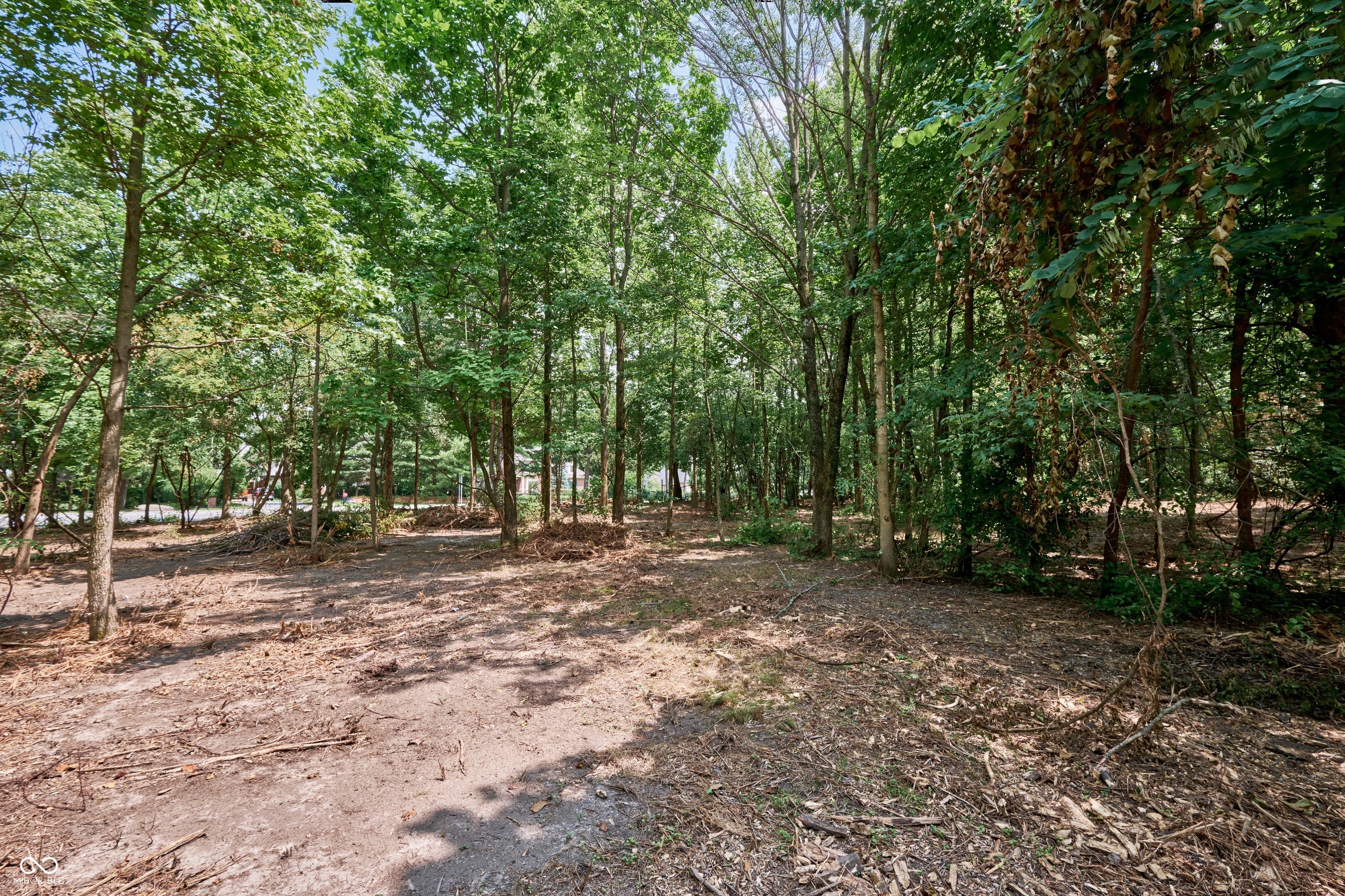 7111 North Meridian Street Indianapolis, IN 46260 - Photo 3 of 14