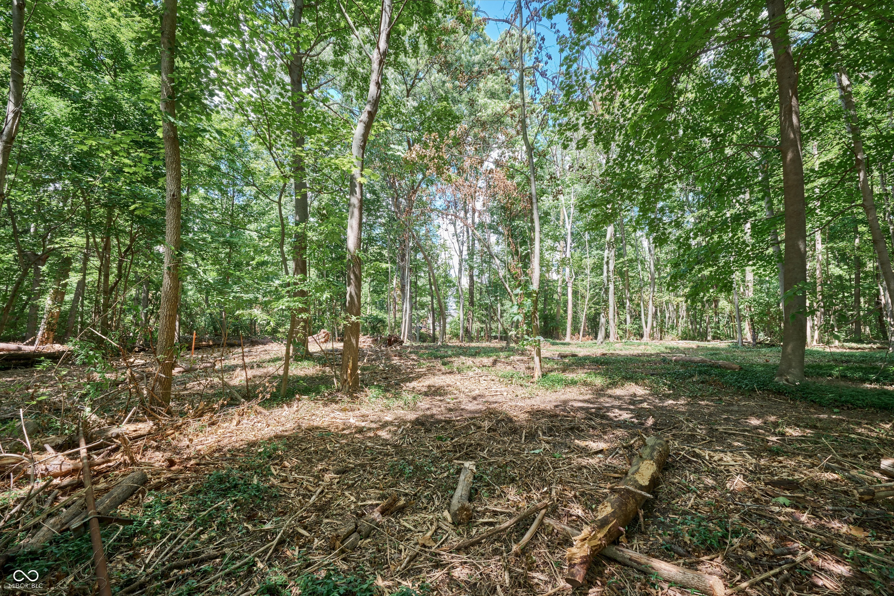 7111 North Meridian Street Indianapolis, IN 46260 - Photo 5 of 14